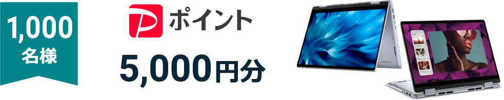 PayPayポイント5,000円分 1,000名様